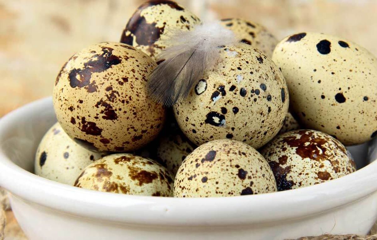 Рецепт Перепелиные яйца: мелочь – а приятно…
