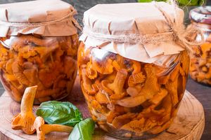 Маринованные лисички