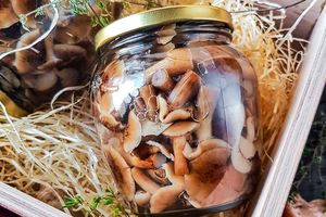 Маринованные опята на зиму