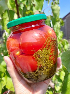 Маринованные помидоры